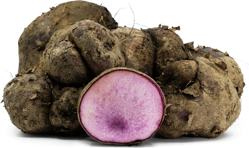 Purple yam/රාජ අල plant - image 3
