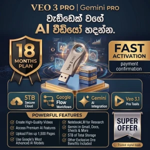VEO 3.1 & Gemini PRO