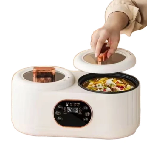 Rice Cooker with Double Pots