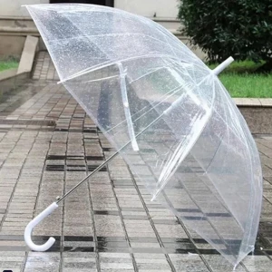 Transparent Umbrella - Fashionable