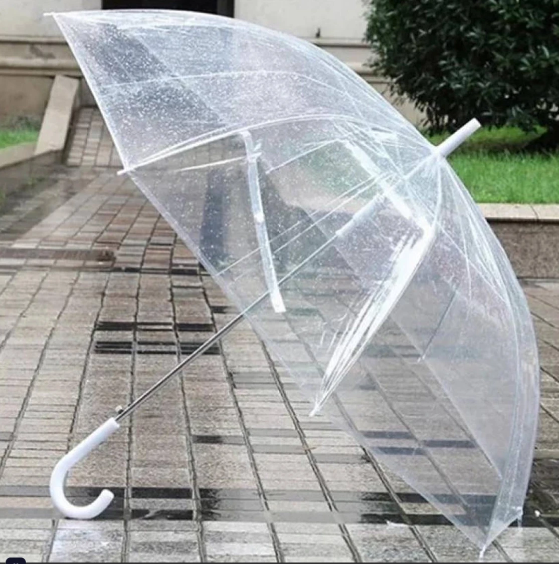Transparent Umbrella - Fashionable