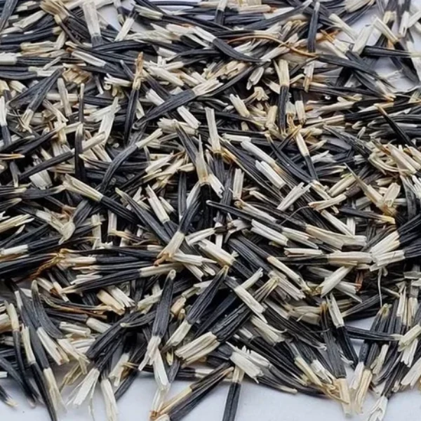 100 Seeds of Marigold Seeds Mixed Colour - image 4